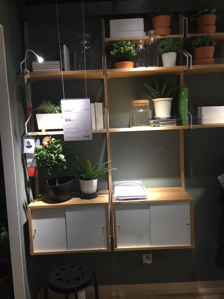 home office shelves styled with books, plants, ceramics, and artwork