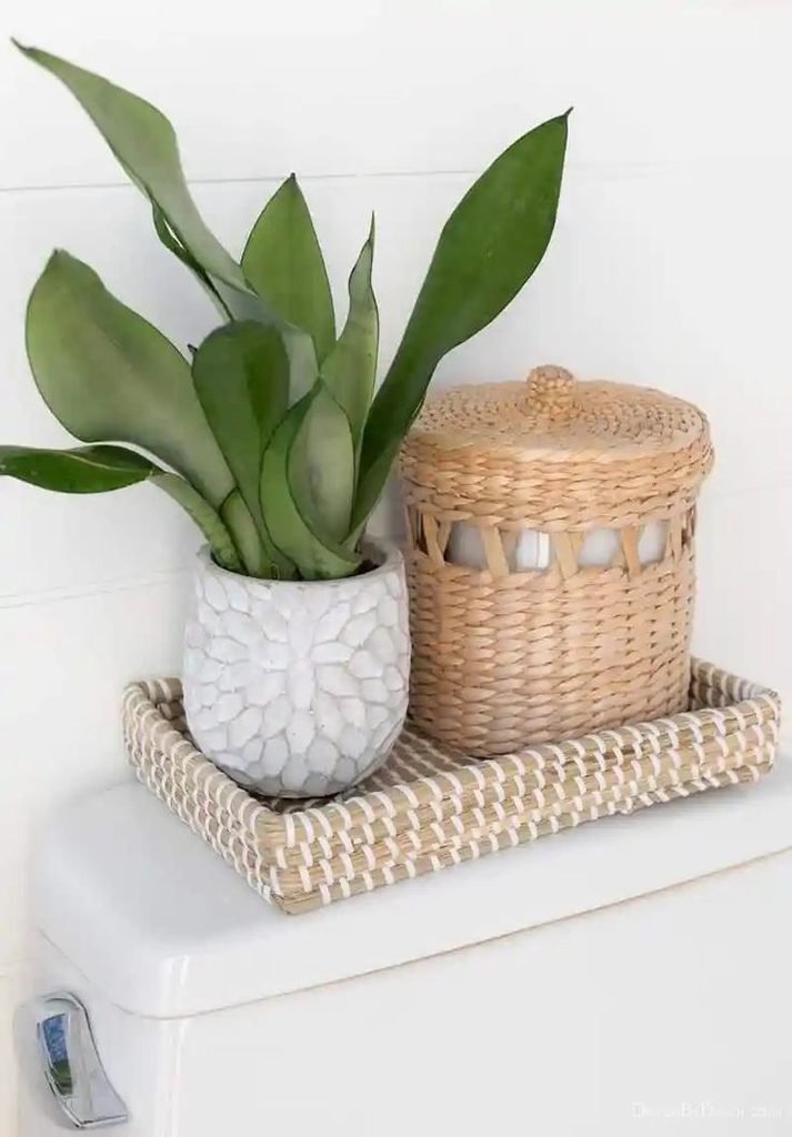 Small green plant in a ceramic planter on a toilet tank