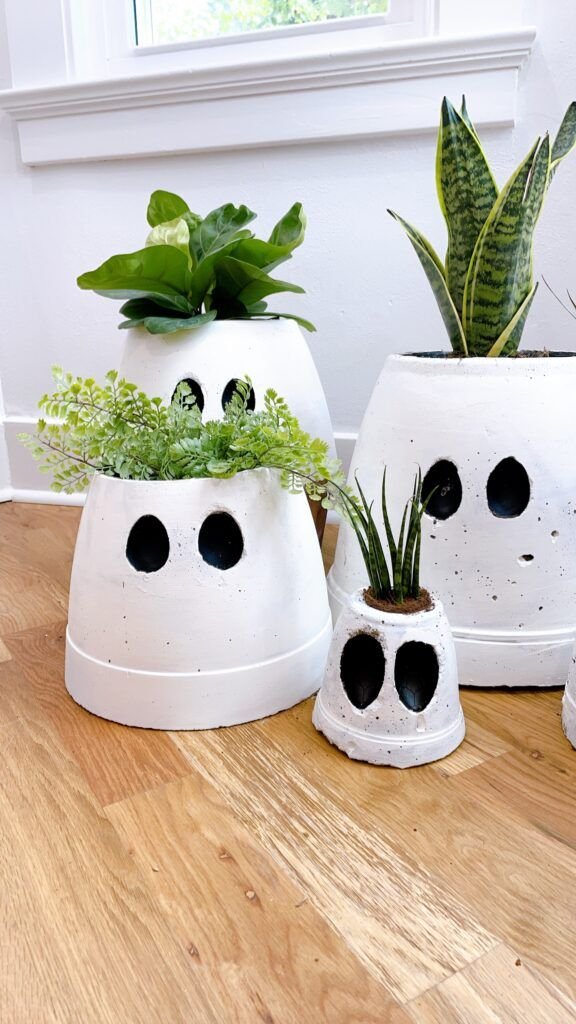 Ghost painted terracotta pots with green plants
